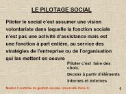 LE PILOTAGE SOCIAL