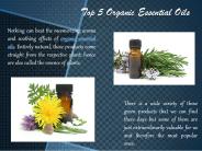 Top 5 Organic Essential Oils