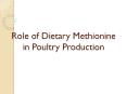 Role of Dietary Methionine in Poultry Production PowerPoint PPT Presentation