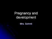 Pregnancy and development