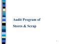 Audit Program of Stores PowerPoint PPT Presentation
