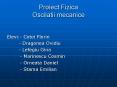 Proiect Fizica Oscilatii mecanice PowerPoint PPT Presentation