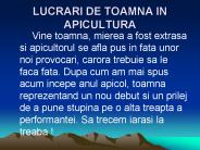 LUCRARI DE TOAMNA IN APICULTURA