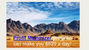 Profit Maximizer System