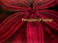 Principles Of Design PowerPoint PPT Presentation