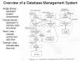 Overview of a Database Management System PowerPoint PPT Presentation