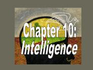 Intelligence