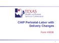 CHIP Perinatal-Labor with Delivery Changes PowerPoint PPT Presentation