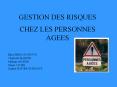 GESTION DES RISQUES PowerPoint PPT Presentation