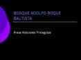 BOSQUE ADOLFO ROQUE BAUTISTA PowerPoint PPT Presentation