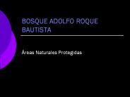 BOSQUE ADOLFO ROQUE BAUTISTA