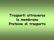 Presentazione di PowerPoint