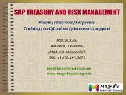 SAP TRM ONLINE TRAINING IN UK