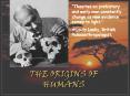 The Origins of Humans PowerPoint PPT Presentation
