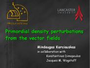 Primordial density perturbations from the vector fields