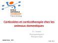 Cortic 00A.1 PowerPoint PPT Presentation