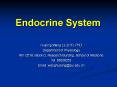 Endocrine System PowerPoint PPT Presentation