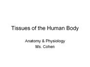 Tissues of the Human Body