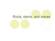 Roots, stems, and leaves