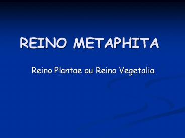 REINO METAPHITA