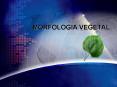 MORFOLOGIA VEGETAL PowerPoint PPT Presentation