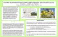 The effect of pollinator exclusion on the fruit set of Solidago rigida and Salvia azurea. N. Boersma, T. Simmelink, and L. Furlong Biology Department, Northwestern College, Orange City Iowa PowerPoint PPT Presentation