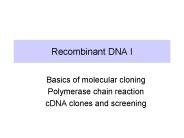 Recombinant DNA I