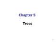 Trees PowerPoint PPT Presentation