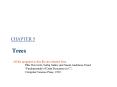 CHAPTER 5  Trees PowerPoint PPT Presentation