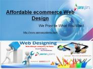 Affordable ecommerce Web Design (1)