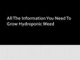 All The Information You Need To Grow Hydroponic Weed PowerPoint PPT Presentation