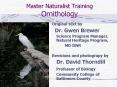 Master Naturalist Training Ornithology PowerPoint PPT Presentation