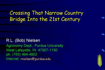 Crossing That Narrow Country Bridge Into the 21st Century