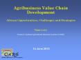 Agribusiness Value Chain Development African Opportunities, Challenges and Strategies  Daan Louw Director: Optimal Agricultural Business Systems (OABS)   14 June 2012 PowerPoint PPT Presentation