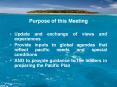 Purpose of this Meeting PowerPoint PPT Presentation