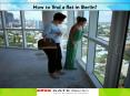 How to find a flat in Berlin? PowerPoint PPT Presentation