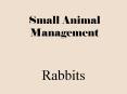 Small Animal Management PowerPoint PPT Presentation