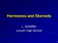 Hormones and Steroids PowerPoint PPT Presentation