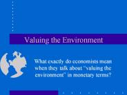 Valuing the Environment