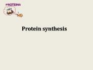 Protein synthesis