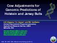 Cow Adjustments for Genomic Predictions of Holstein and Jersey Bulls PowerPoint PPT Presentation