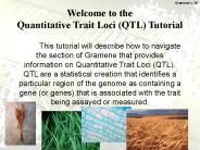 Welcome to the Quantitative Trait Loci (QTL) Tutorial