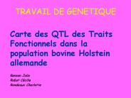 TRAVAIL DE GENETIQUE