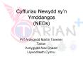 Cyffuriau Newydd sy PowerPoint PPT Presentation