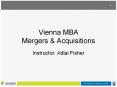 Vienna MBA Mergers PowerPoint PPT Presentation