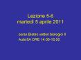 Lezione 5-6 marted PowerPoint PPT Presentation