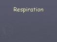 Respiration PowerPoint PPT Presentation