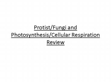 Protist/Fungi and Photosynthesis/Cellular Respiration Review