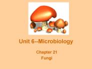 Unit 6--Microbiology