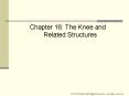 Chapter 16: The Knee and Related Structures PowerPoint PPT Presentation